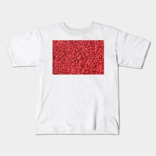 Dried barberries Kids T-Shirt